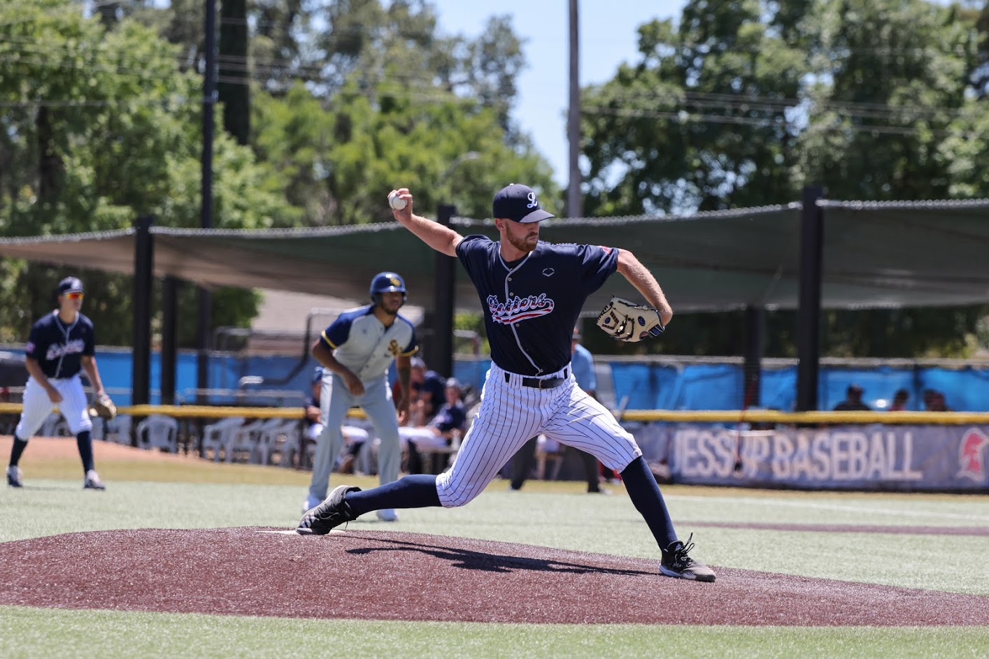 Lincoln Potters Baseball Stats 2022 at Bauer blog